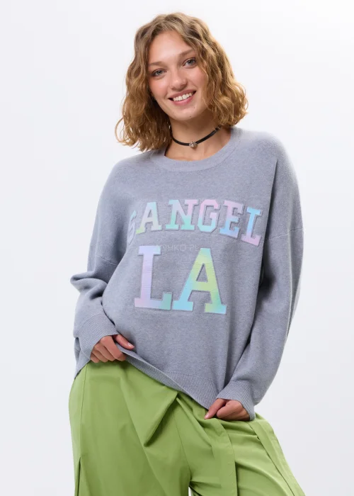 Sweter Los Angeles Holo Szary 